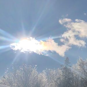 Meet your Posher, Isabella